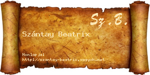 Szántay Beatrix névjegykártya